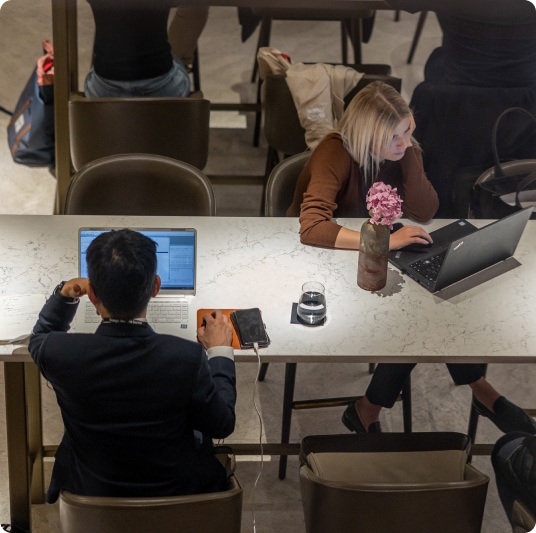 Two people using their laptop