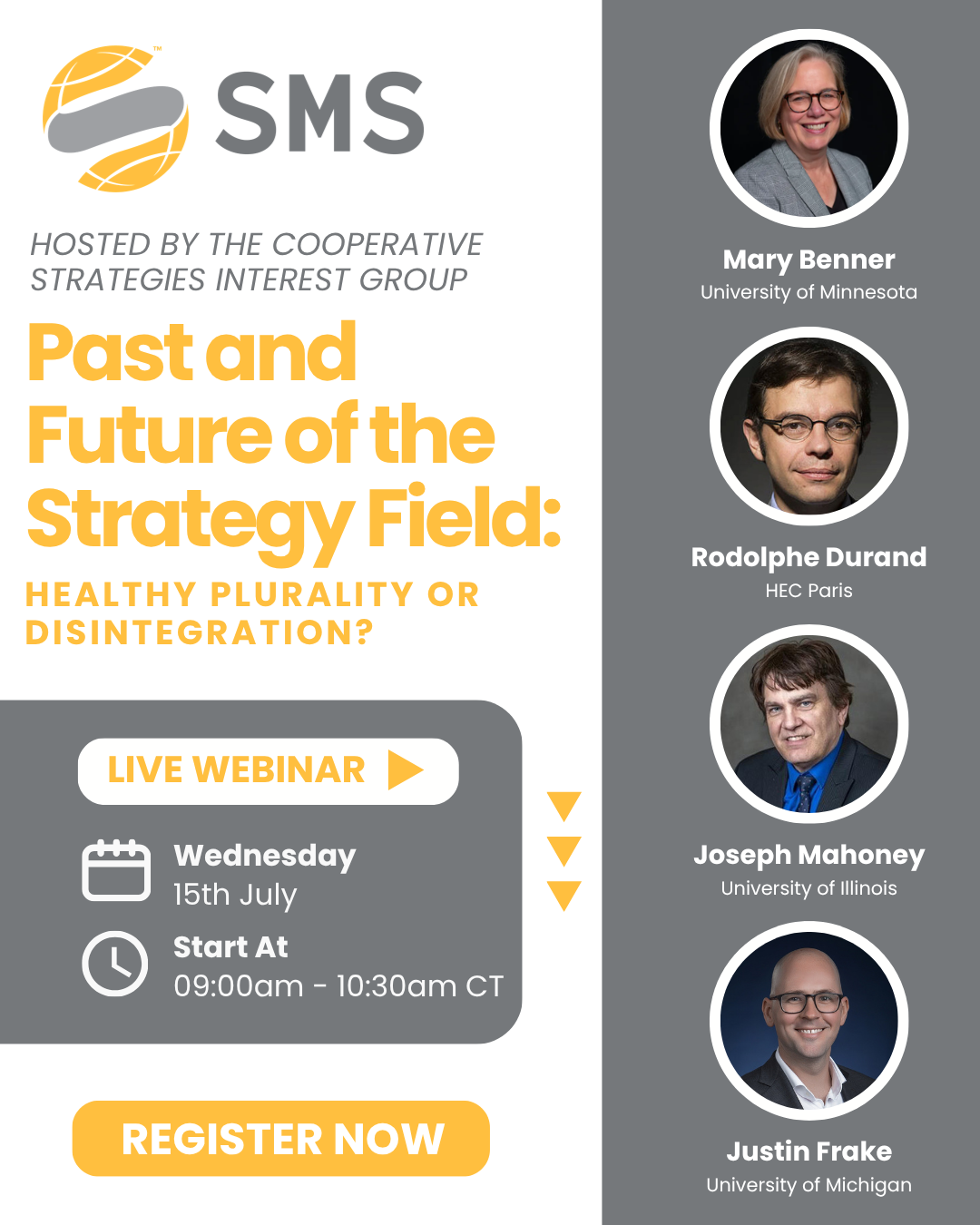 Past and Future of the Strategy Field Healthy Plurality or Disintegration Graphic